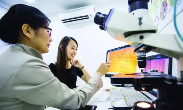 Slider image (6) ZELL-V Wellness Hub - Preventive & Regenerative Medicine Malaysia